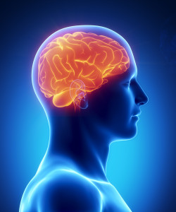 Profile image of a man with orange glowing brain